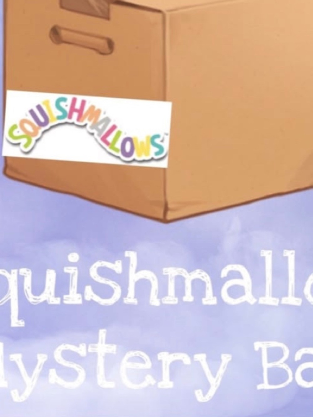 Squishmallow mystery box